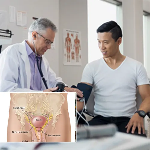 Empowering You with Penile Implant Education